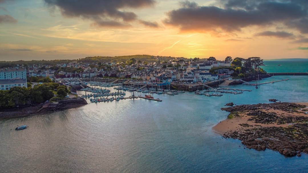 Photo paysage : forêt