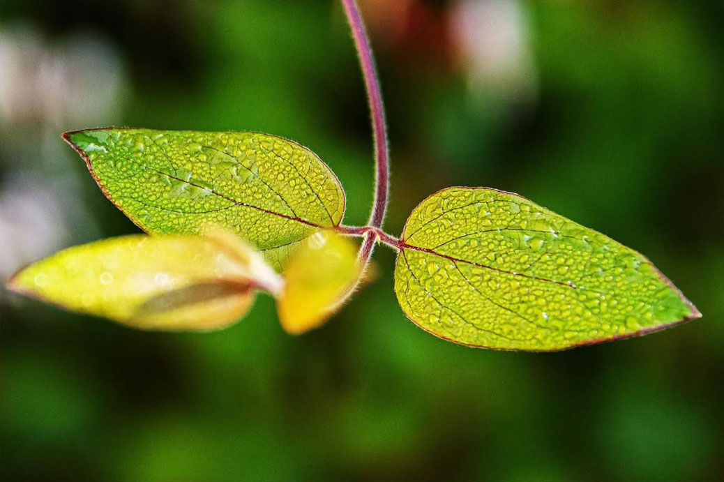 Macro - Feuille macro
