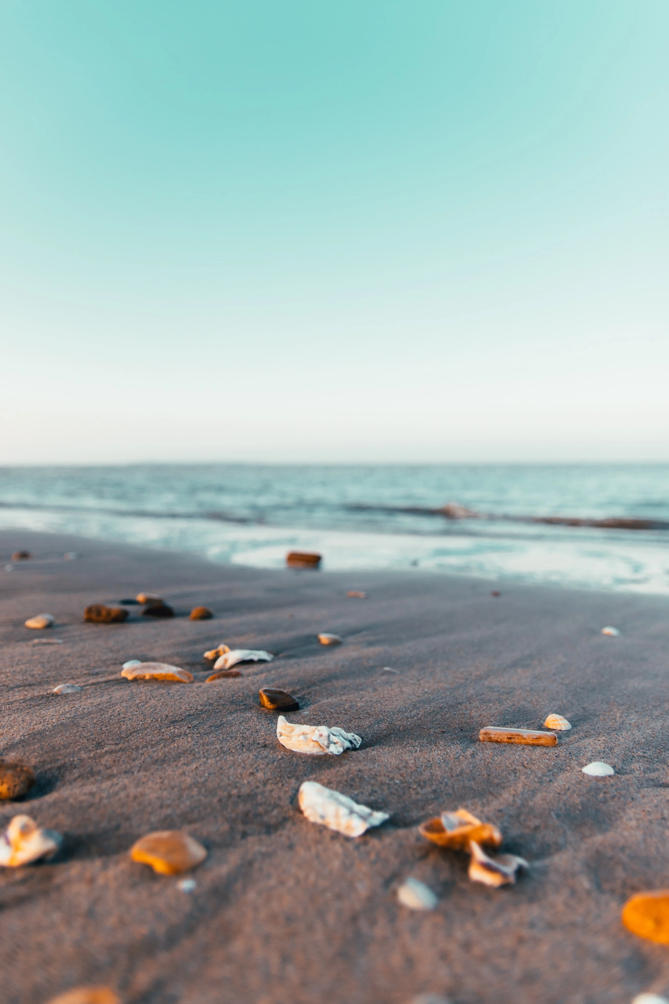 Photo paysage : Plage